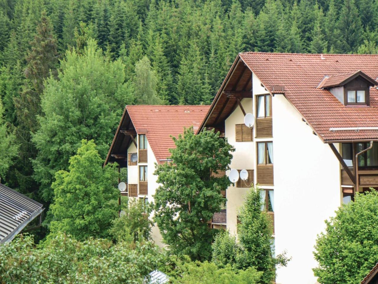 0-Bedroom Apartment In Bayer. Eisenstein Bayerisch Eisenstein Exterior foto